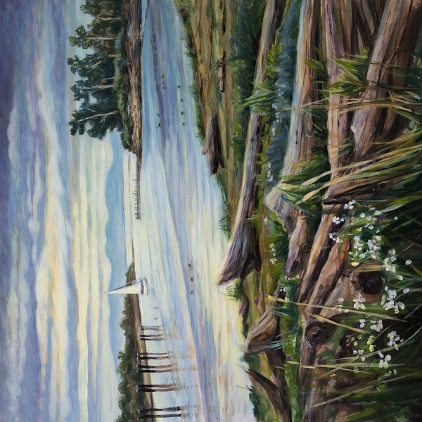 Driftwood Beach